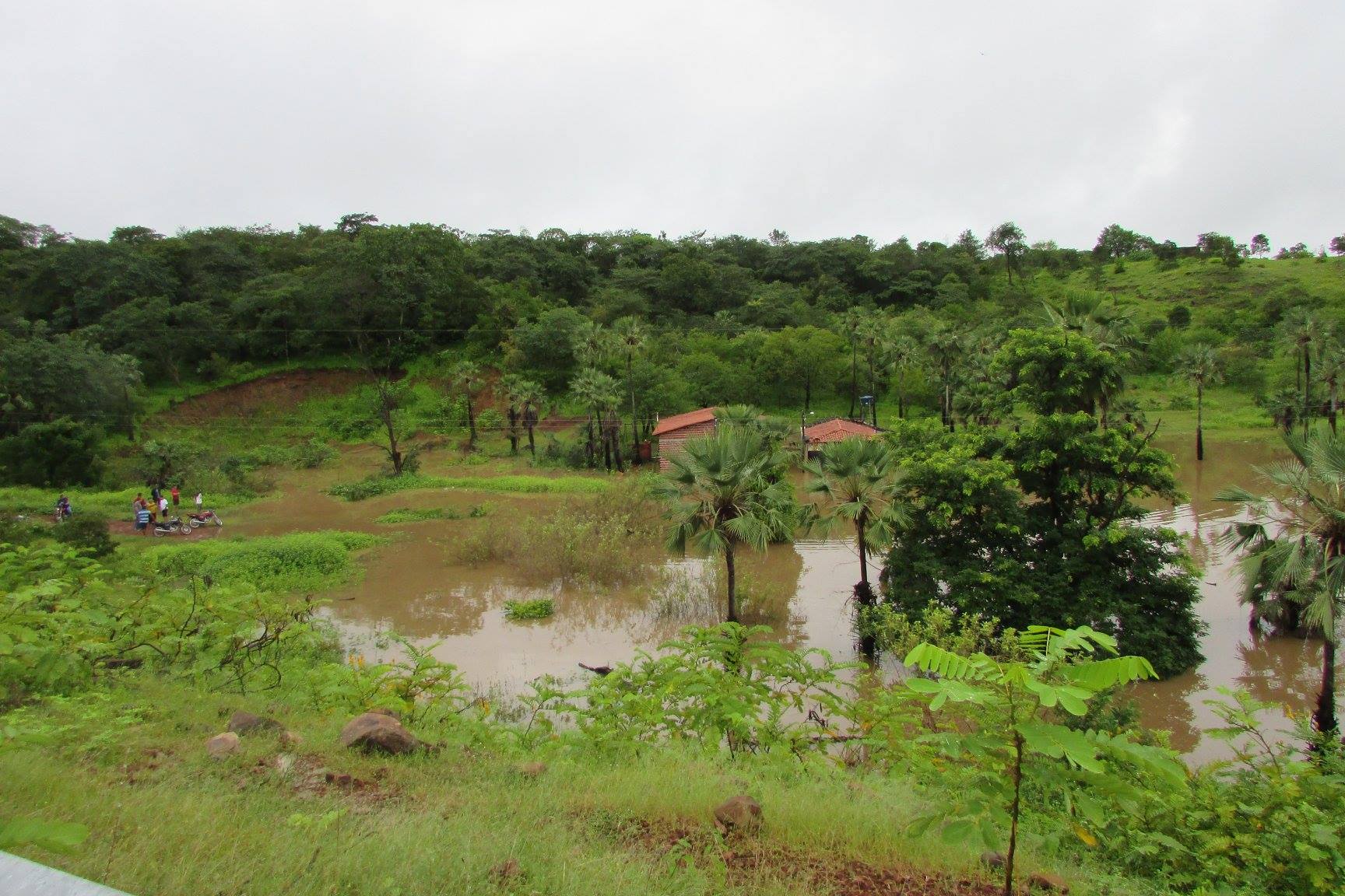 Em São João da Serra, Rio Poty transborda e invade bares e casas. Confira fotografias! - Imagem 4