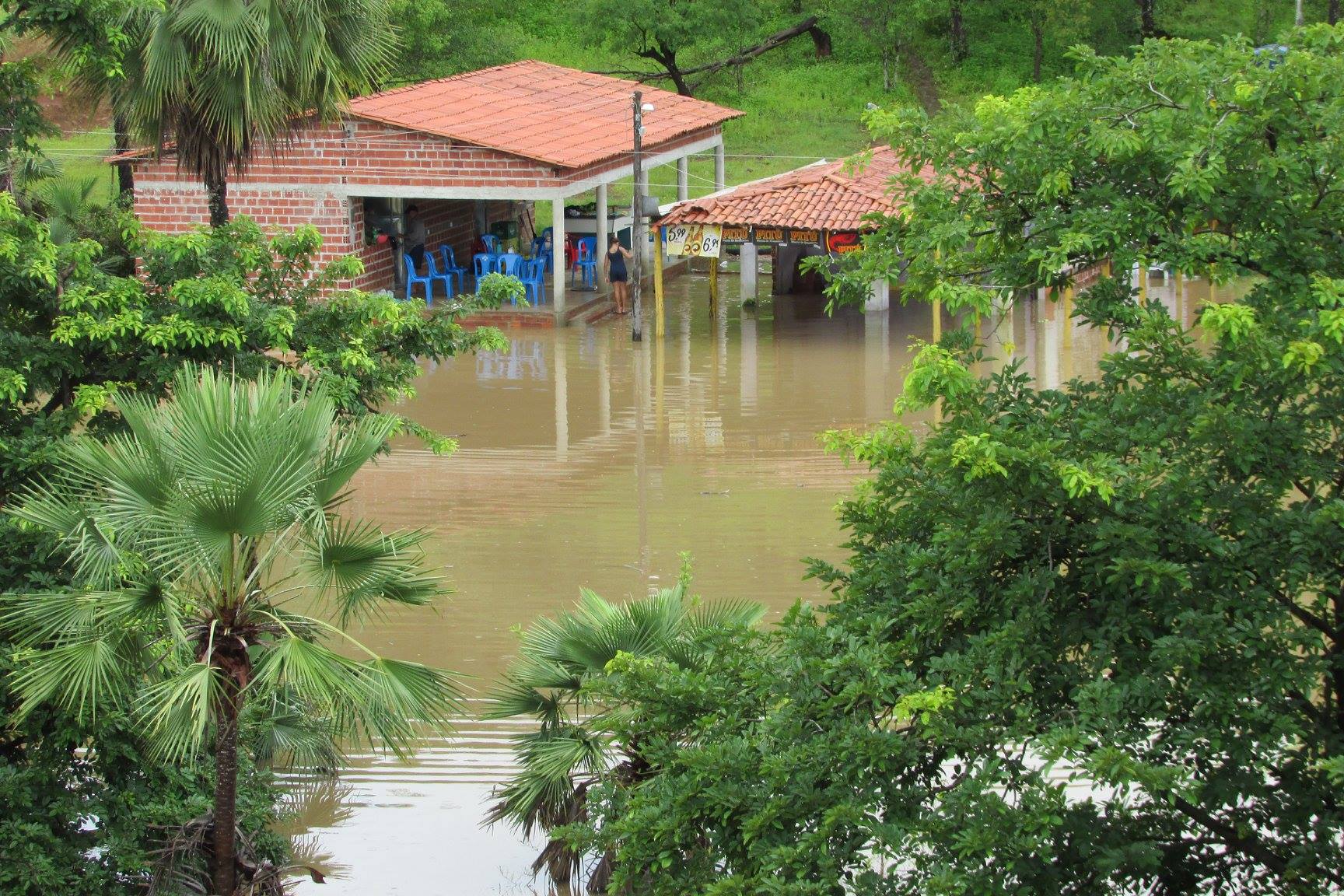 Em São João da Serra, Rio Poty transborda e invade bares e casas. Confira fotografias! - Imagem 6