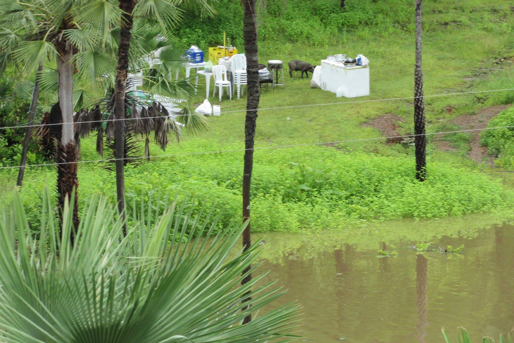 Em São João da Serra, Rio Poty transborda e invade bares e casas. Confira fotografias! - Imagem 5