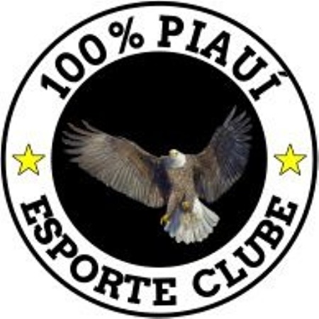 100% Piauí na final do campeonato municipal de futebol de Santo Inácio do Piauí