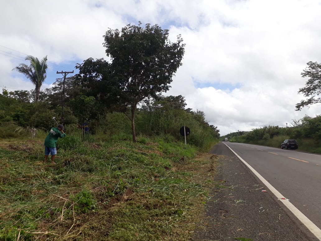 Uma tradição de 25 anos que se mantém por uma ação voluntária da população  - Imagem 4