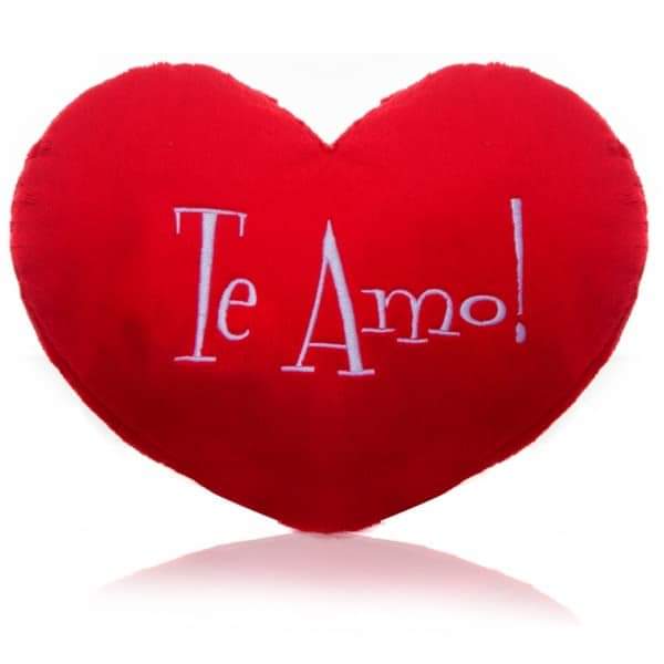 Prefeitura apoia festa para às mães na zona rural do município  - Imagem 12