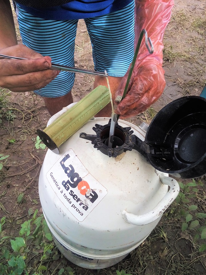 SMA promove o primeiro curso de inseminação artificial em bovinos de Joaquim Pires - Imagem 3