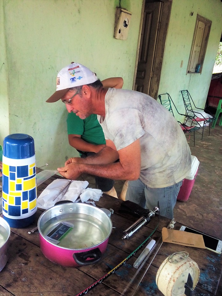 SMA promove o primeiro curso de inseminação artificial em bovinos de Joaquim Pires