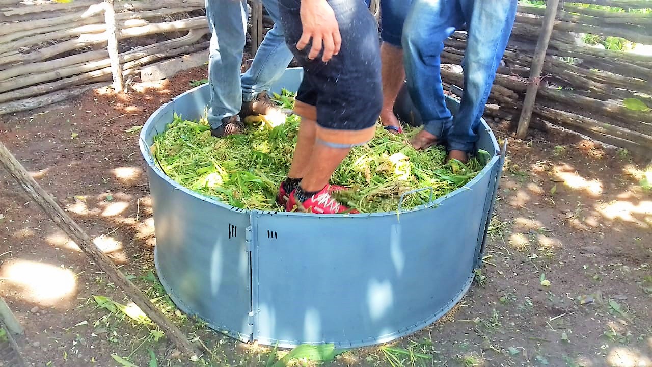 SENAR realiza curso de silagem para produtores rurais de Joaquim Pires - Imagem 2