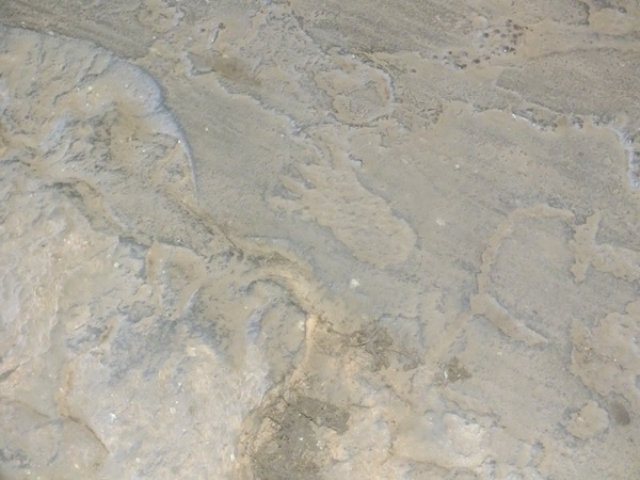 Dom Expedito Lopes poderá desenvolver rota de turismo - Imagem 5