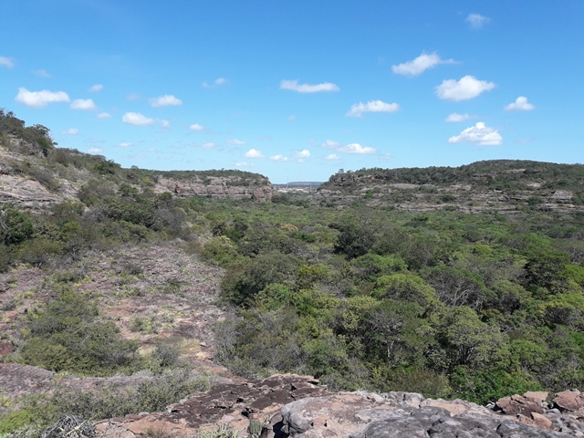 Dom Expedito Lopes poderá desenvolver rota de turismo - Imagem 17