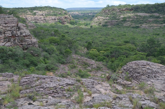 Dom Expedito Lopes poderá desenvolver rota de turismo - Imagem 49