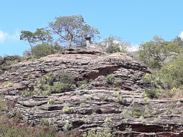 Dom Expedito Lopes poderá desenvolver rota de turismo - Imagem 24