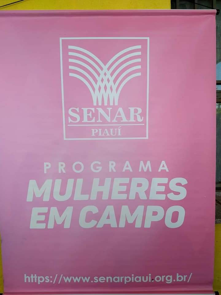 Mulheres no Campo fazem feira em Monsenhor Gil  - Imagem 2