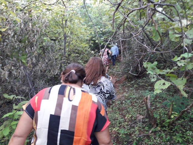 Peregrinação da subida do morro festejos da Santa Cruz em Malhada no município de Bocaina – PI - Imagem 39