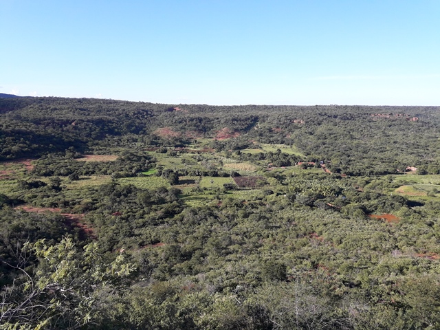 Peregrinação da subida do morro festejos da Santa Cruz em Malhada no município de Bocaina – PI - Imagem 58