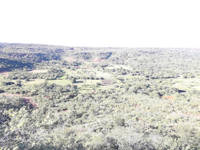 Peregrinação da subida do morro festejos da Santa Cruz em Malhada no município de Bocaina – PI - Imagem 59