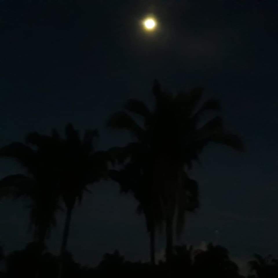 Pega de Boi reúne Vaquerama e amigos em Prado na comunidade Baixa Grande - Imagem 17