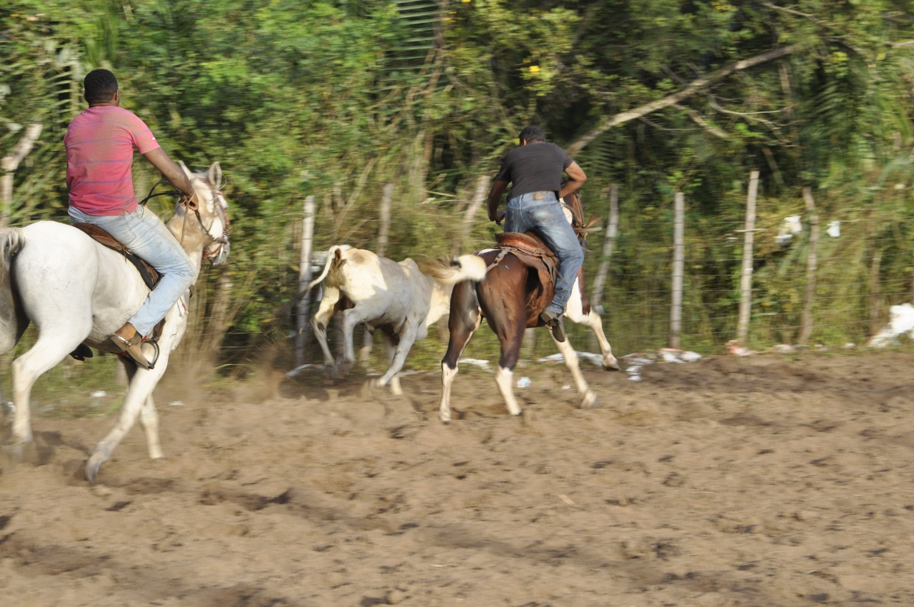 Pega de Boi reúne Vaquerama e amigos em Prado na comunidade Baixa Grande - Imagem 3