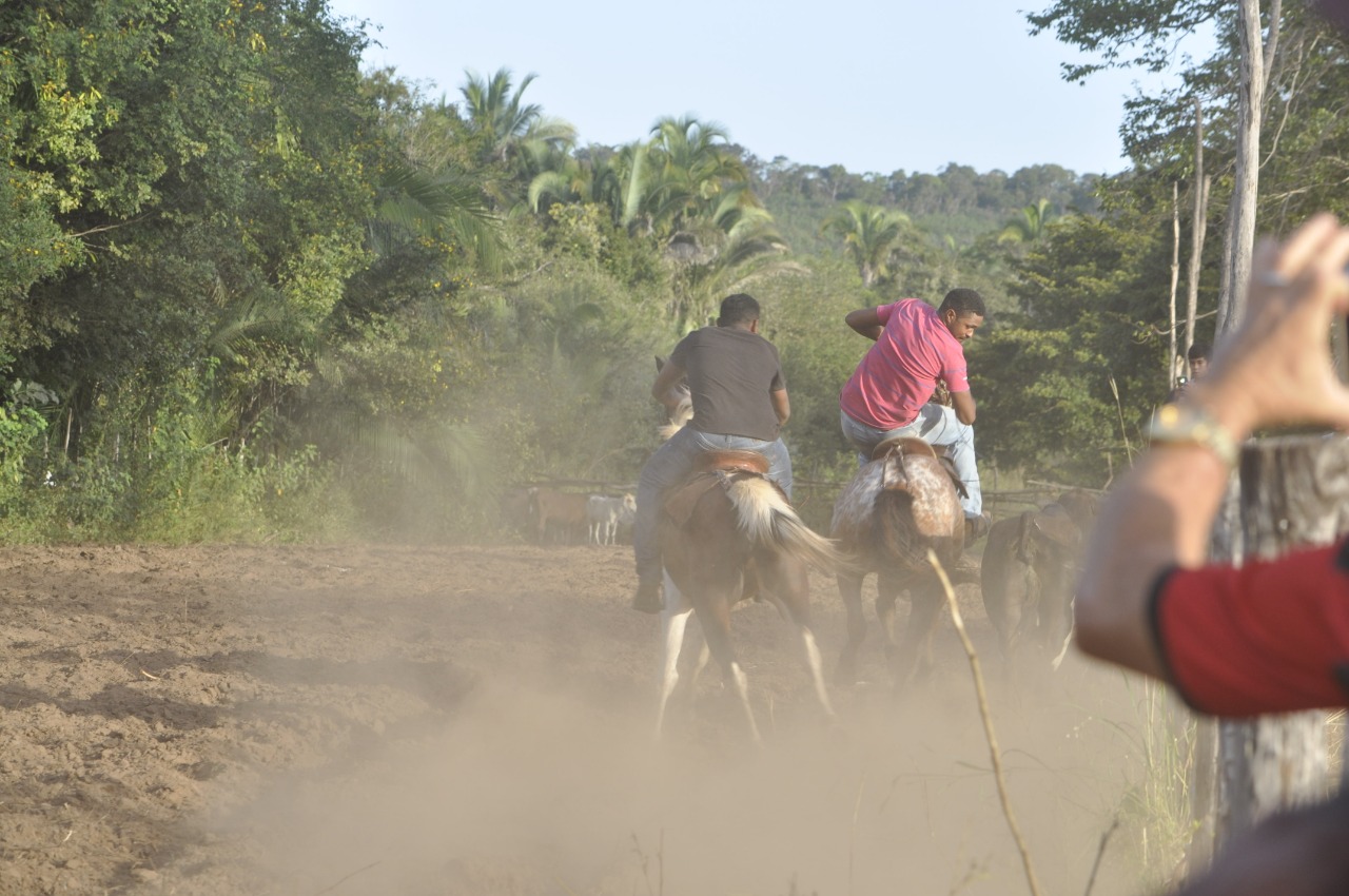 Pega de Boi reúne Vaquerama e amigos em Prado na comunidade Baixa Grande - Imagem 1