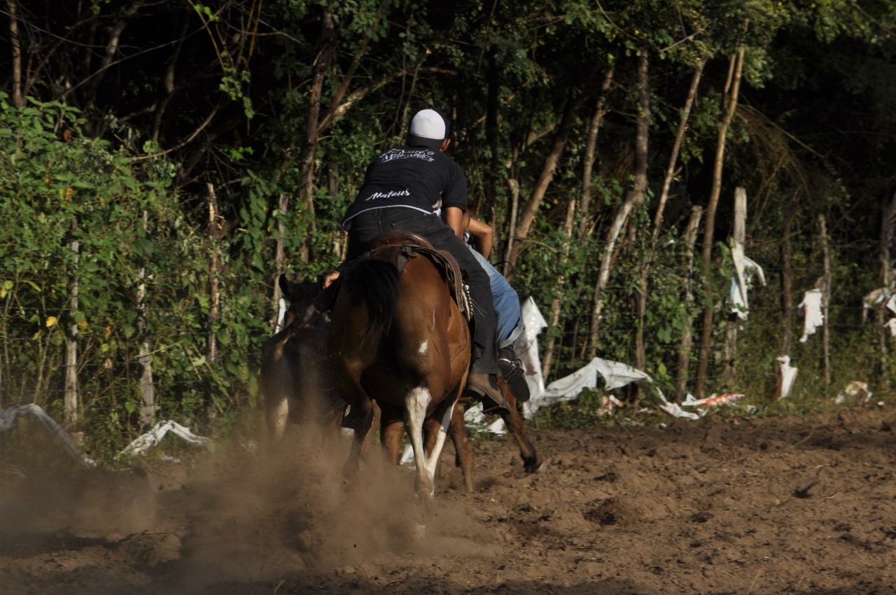 Pega de Boi reúne Vaquerama e amigos em Prado na comunidade Baixa Grande - Imagem 8