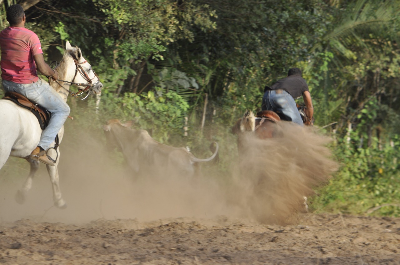 Pega de Boi reúne Vaquerama e amigos em Prado na comunidade Baixa Grande - Imagem 22