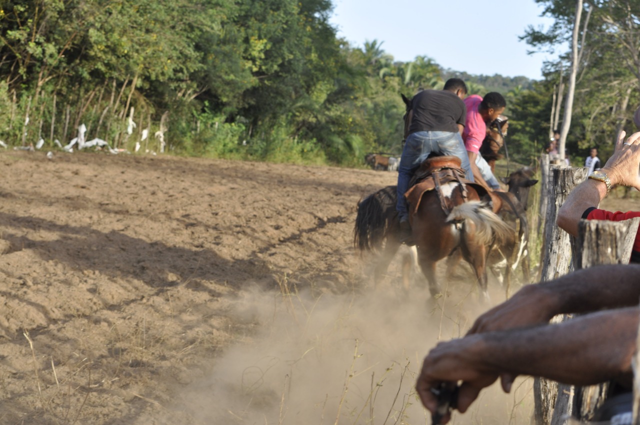 Pega de Boi reúne Vaquerama e amigos em Prado na comunidade Baixa Grande - Imagem 4