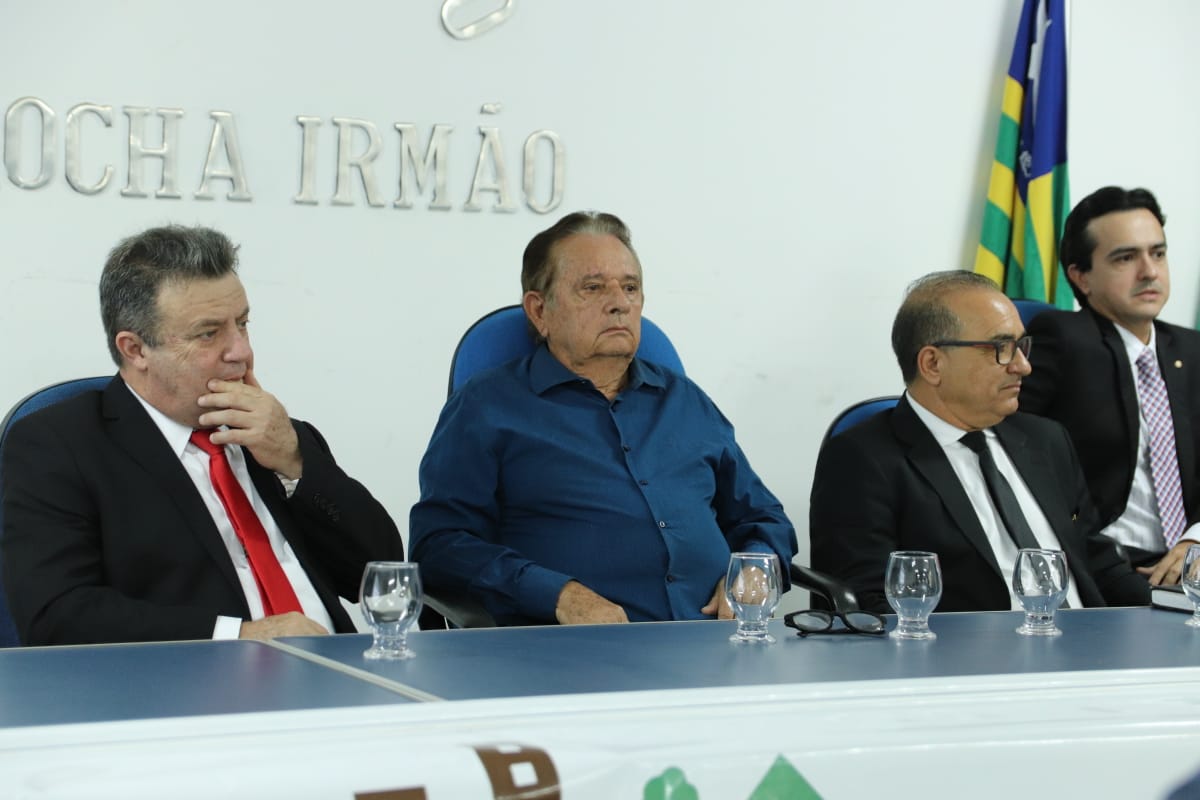 Regularização de imóveis urbanos é tema de audiência pública em Uruçuí - Imagem 4