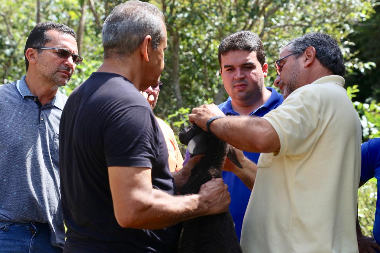 Programa “ Fazenda Produtiva” vai gerar lucro na zona Rural de Palmeirais - Imagem 3