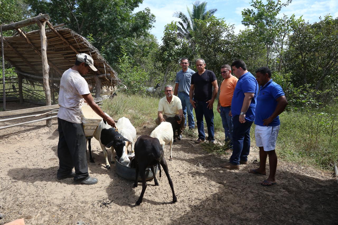 Programa “ Fazenda Produtiva” vai gerar lucro na zona Rural de Palmeirais - Imagem 1