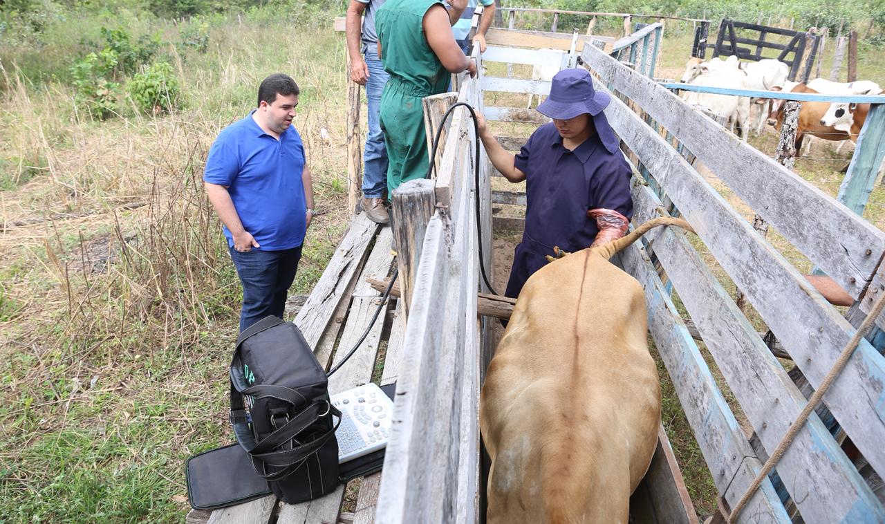 Programa “ Fazenda Produtiva” vai gerar lucro na zona Rural de Palmeirais - Imagem 2
