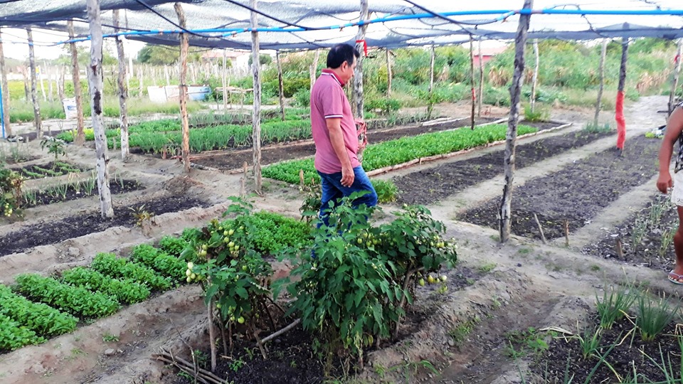 Prefeito Genival Bezerra visita horta comunitária na zona rural - Imagem 12
