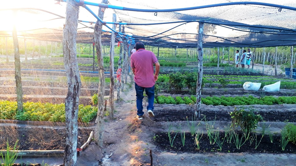 Prefeito Genival Bezerra visita horta comunitária na zona rural - Imagem 5