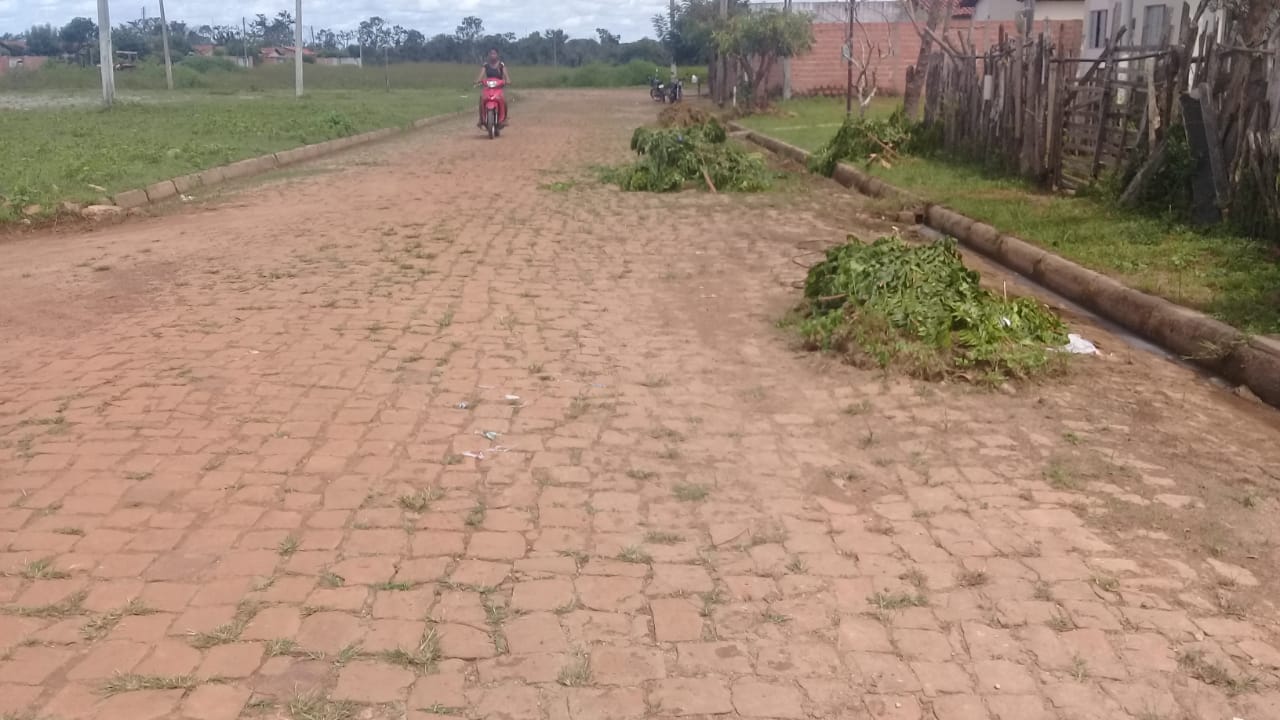 Prefeitura realiza mutirão de limpeza em toda cidade - Imagem 3