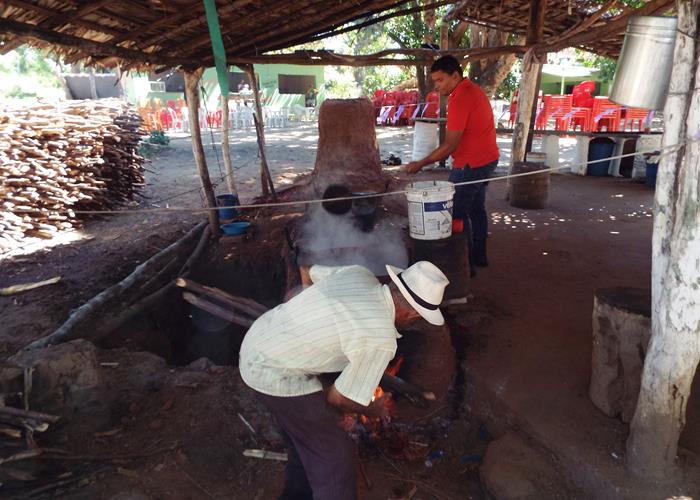 Sítio Buritizinho um dos lugares mais visitados pelos turistas no Festival de Inverno de Pedro II - Imagem 2