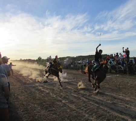 Campo de Aviação lota com animada corrida de cavalos