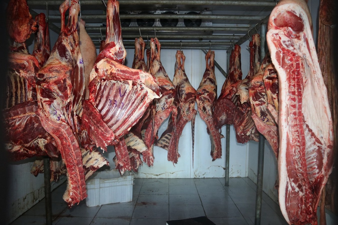 Prefeitura de Água Branca entrega reformas do hospital e matadouro no aniversário da cidade - Imagem 3