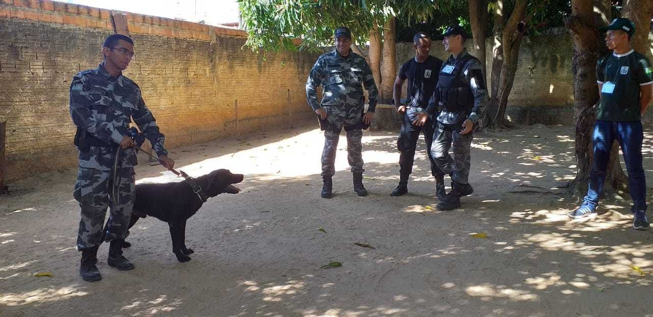 Projeto Mirim Cidadão de Água Branca é destaque nas ações de prevenção à violência. - Imagem 3