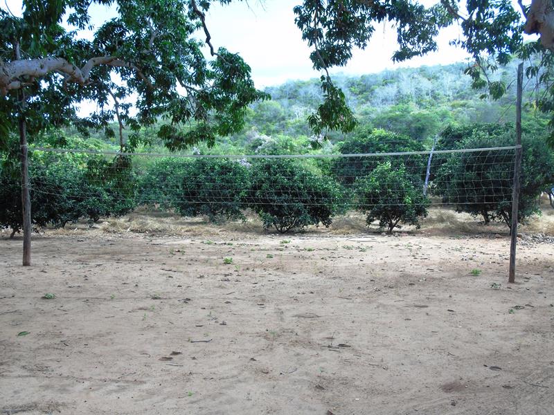 Sítio Agroecológico um local digno para suas comemorações e lazer com paisagens exuberantes  - Imagem 19