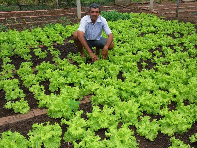 Sítio Agroecológico um local digno para suas comemorações e lazer com paisagens exuberantes  - Imagem 12