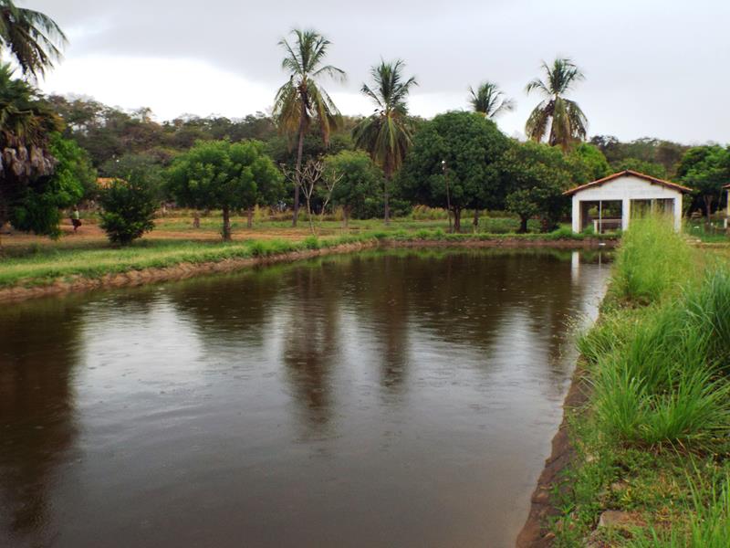 Prefeitura inicia peixamento em açudes de Pedro II - Imagem 1