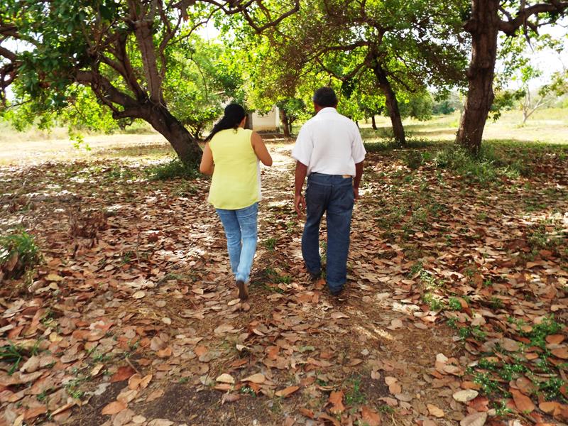 Prefeitura inicia peixamento em açudes de Pedro II - Imagem 18