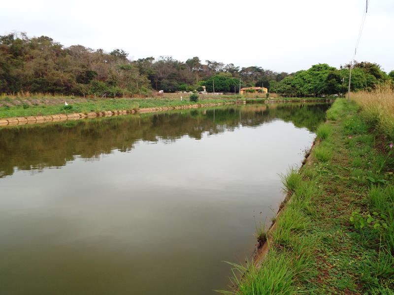 Prefeitura inicia peixamento em açudes de Pedro II - Imagem 7