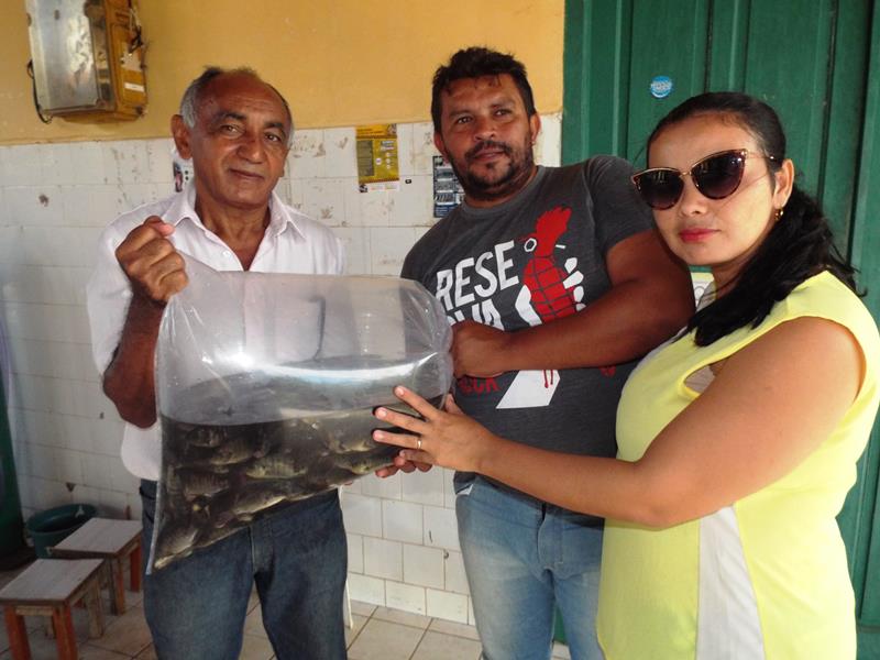 Prefeitura inicia peixamento em açudes de Pedro II - Imagem 2