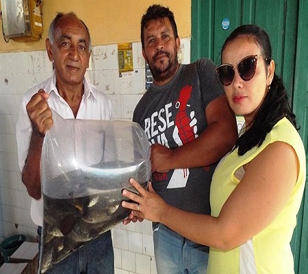 Prefeitura inicia peixamento em açudes de Pedro II