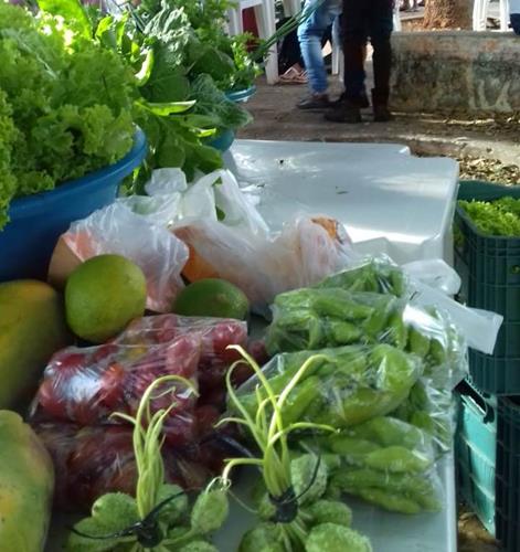 Público prestigia comprando produtos na Feira Sabores e Saberes - Imagem 8