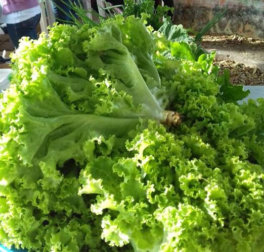 Público prestigia comprando produtos na Feira Sabores e Saberes - Imagem 11