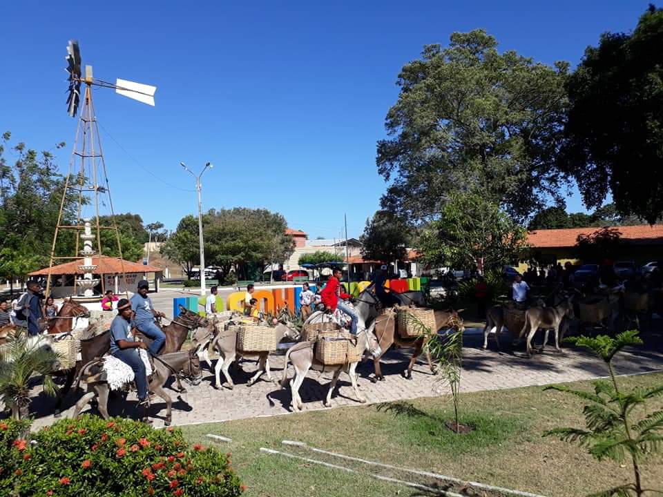 Uma tradição de fé em Santa Cruz dos Milagres que se mantém há 22 anos  - Imagem 39