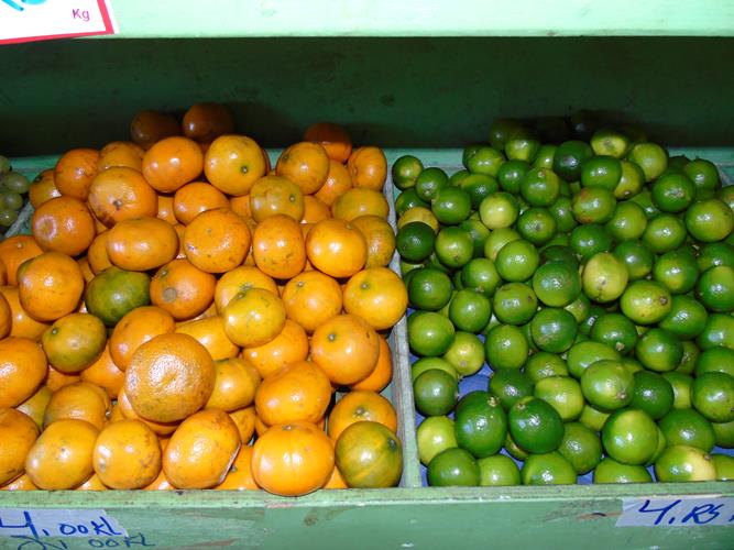 Sacolão São Vicente sempre com produtos novos e preços abaixo do mercado  - Imagem 11