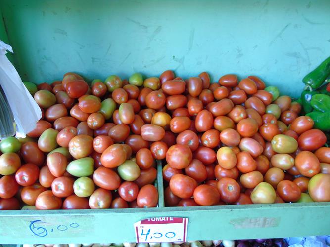 Sacolão São Vicente sempre com produtos novos e preços abaixo do mercado  - Imagem 6