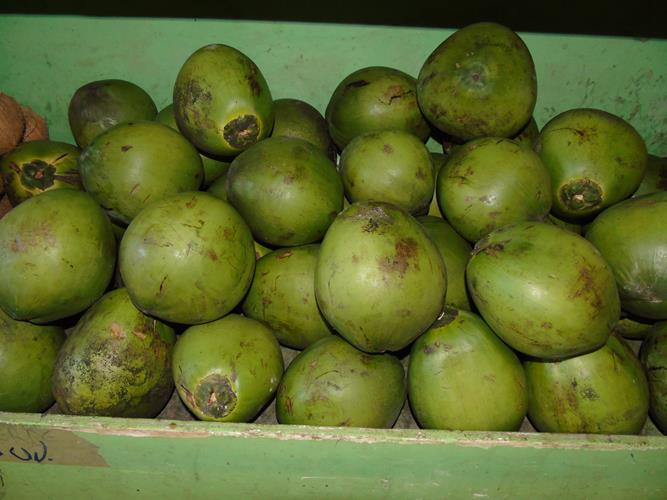 Sacolão São Vicente sempre com produtos novos e preços abaixo do mercado  - Imagem 12