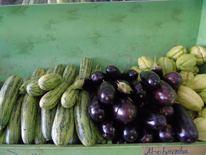 Sacolão São Vicente sempre com produtos novos e preços abaixo do mercado  - Imagem 15