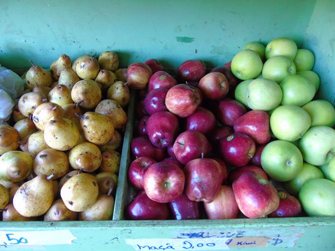 Sacolão São Vicente sempre com produtos novos e preços abaixo do mercado  - Imagem 8