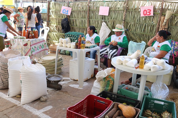 Município de N. S. dos Remédios realiza II Feira da Agricultura Familiar  - Imagem 18